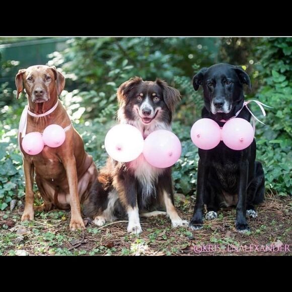 Breast Friend Follow Game Breast Cancer Edition - Picture 4 of 6